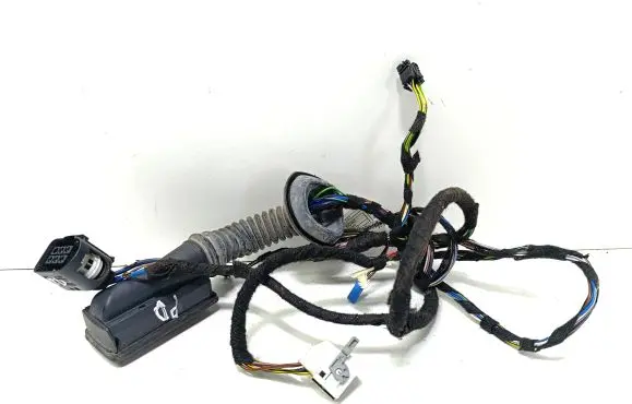 Front door wiring loom