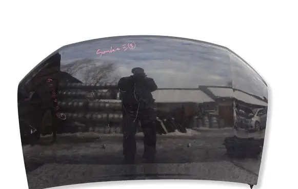 Dacia Sandero II Engine bonnet/hood YWM