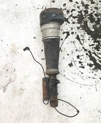 Mercedes-Benz S W221 Air suspension front shock absorber C086105 11070328076309