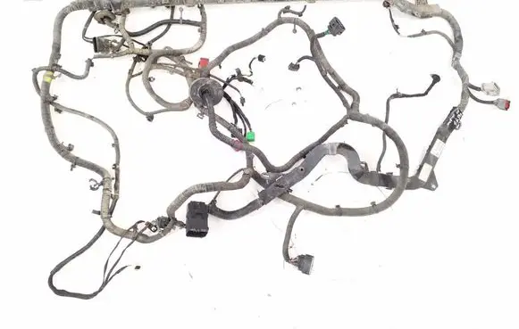Other wiring loom