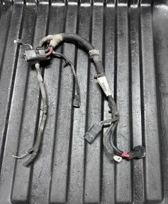 Other wiring loom