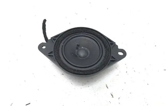 Panel speaker