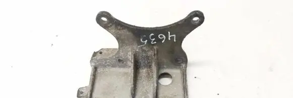 Fiat Stilo Engine mounting bracket 46797909 r365a01