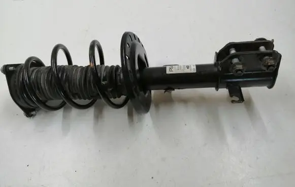 Front shock absorber with coil spring