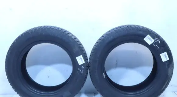 Dacia Lodgy R15 winter tire 5452000594327
