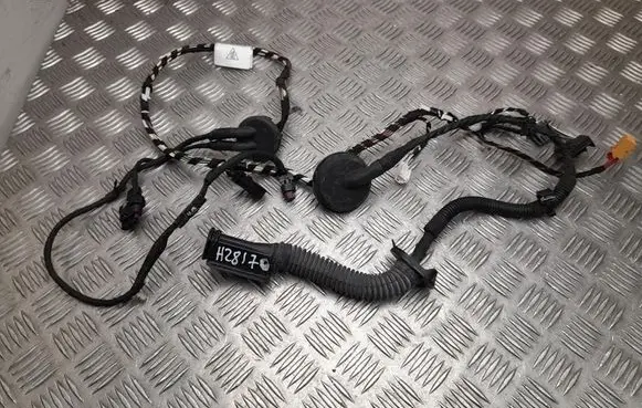 Porsche Macan (95B) Other wiring loom 95B971687N