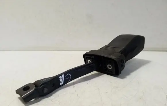 Audi e-tron Rear door check strap stopper 4KE839267