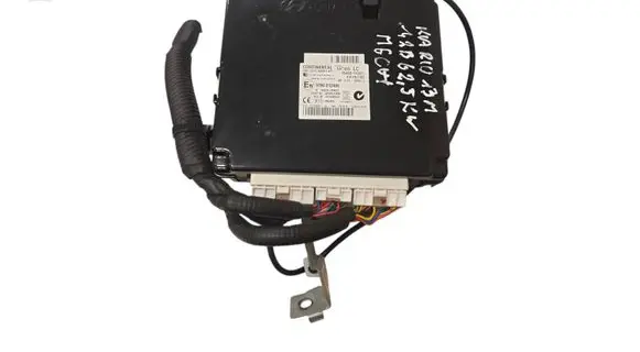 KIA Rio Fuse module 954801W021 97RI012406 8325ASWM25