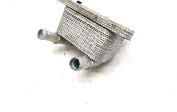 Nissan Qashqai Oil filter mounting bracket 213052032R