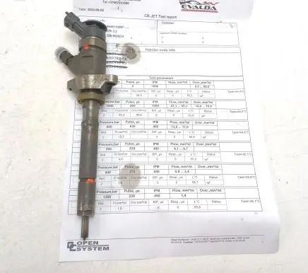 Citroen C5 Fuel injector 0445110297