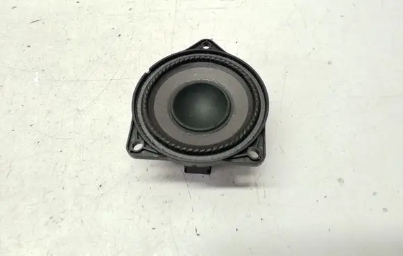 Front door speaker
