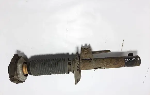 Volkswagen Golf V Front shock absorber/damper 1K0413031BE