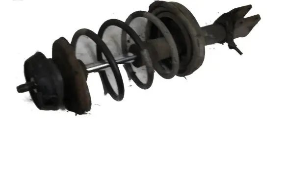 Renault Clio III Front shock absorber with coil spring