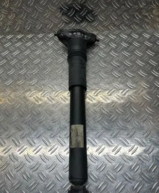 Citroen C4 III e-C4 Rear shock absorber/damper 9841379480