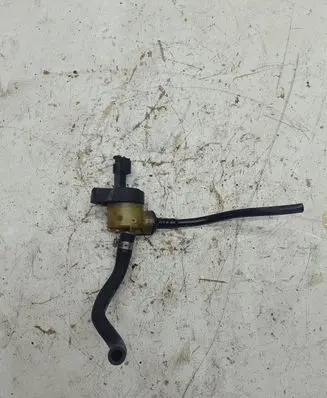 Vacuum valve