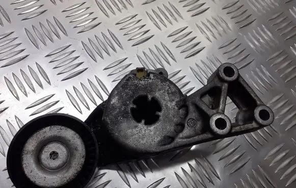 Volkswagen Jetta V Alternator belt tensioner pulley 06A903315F