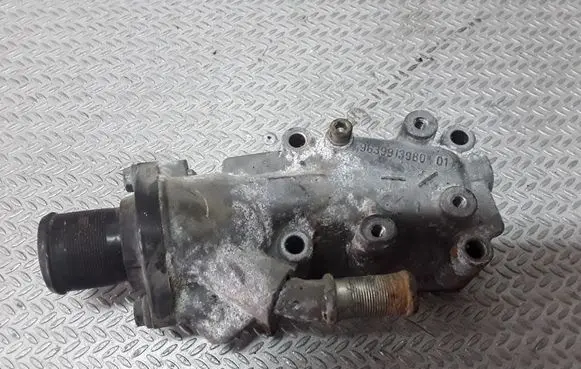 Thermostat/thermostat housing