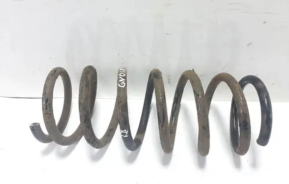 Rear coil spring