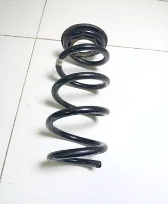 Tesla Model 3 Rear coil spring 104447201E CZH211050007520