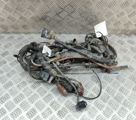 Audi E-tron GT Other wiring loom 9J1971767 9J1971772BR