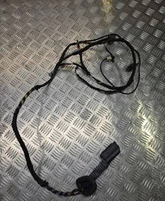 BMW X2 F39 Rear door wiring loom 19344411