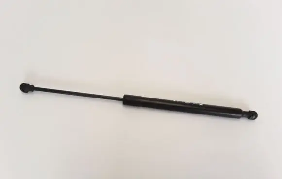Tailgate strut