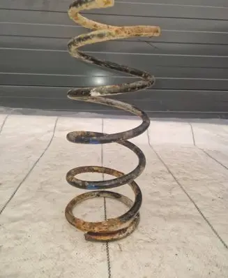 Rear coil spring