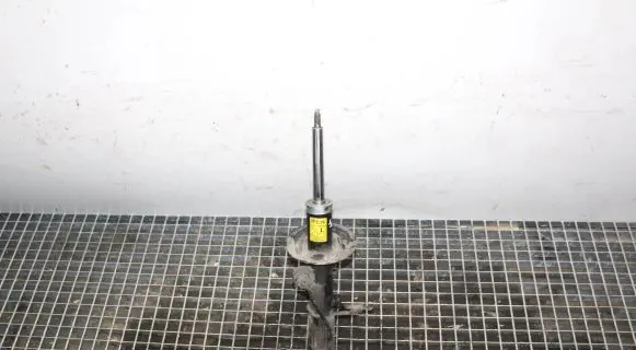 Opel Antara Front shock absorber/damper 95147607