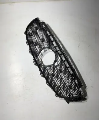 Mercedes-Benz E W213 Radiator trim A2138880123