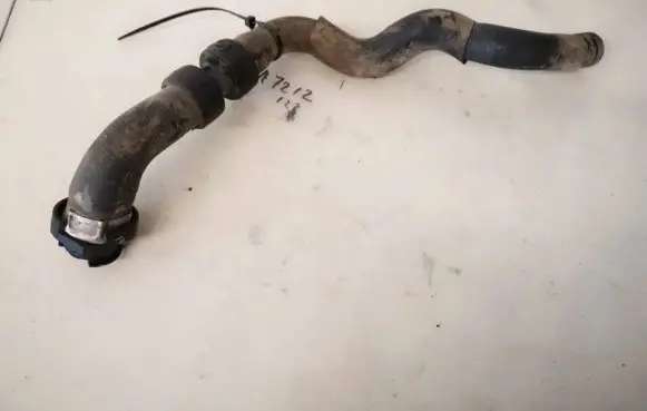 Renault Laguna II Engine coolant pipe/hose