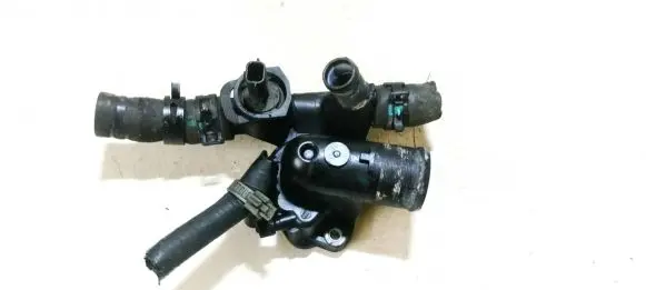 Nissan Qashqai Engine coolant pipe/hose 8200801570