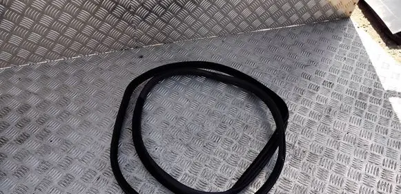 BMW X6 E71 Rear door rubber seal (on body) 