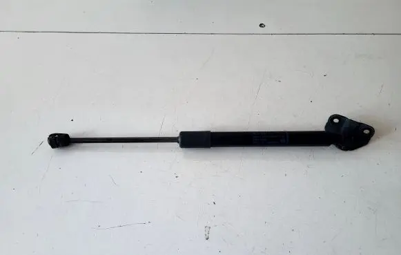 Opel Crossland X Tailgate/trunk strut/damper 39117353
