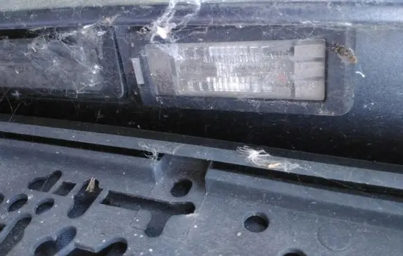 Renault Espace - Grand espace IV Number plate light