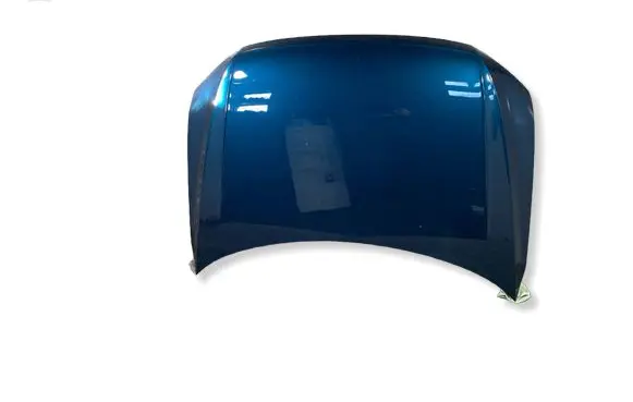 Volkswagen Tiguan Engine bonnet/hood 
