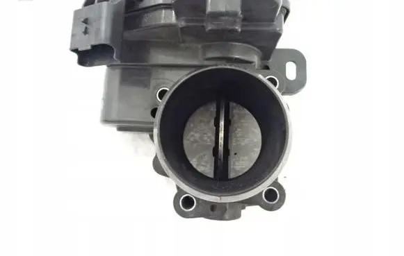 Throttle body valve