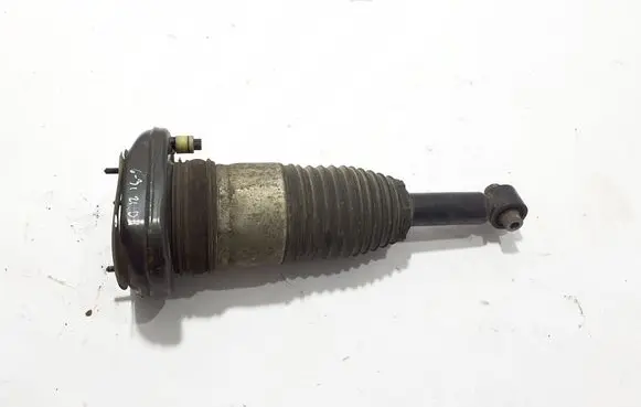 BMW 5 G30 G31 G38 Rear shock absorber/damper 6897854