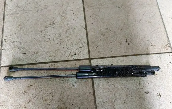 Tailgate strut