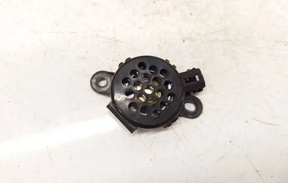 Tesla Model S Front door speaker