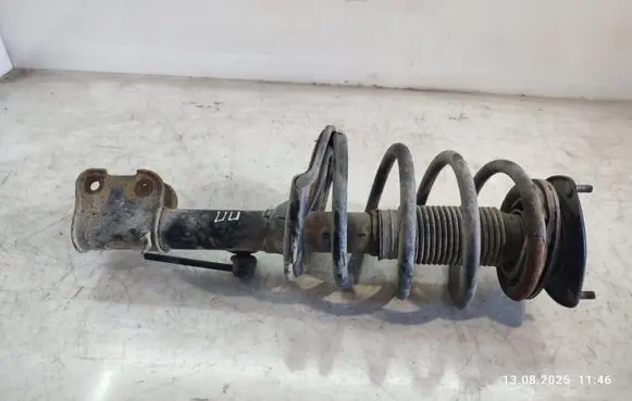 Hyundai ix 55 Front shock absorber with coil spring