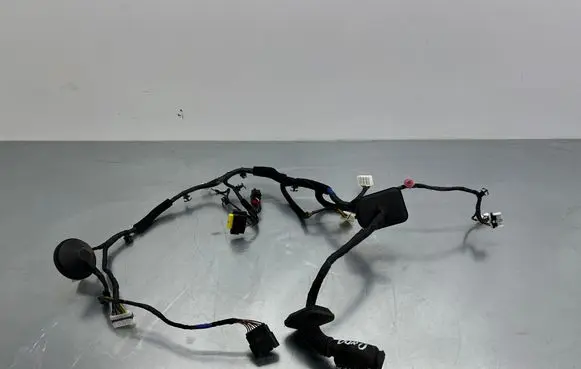 Hyundai Santa Fe Front door wiring loom 916002W940