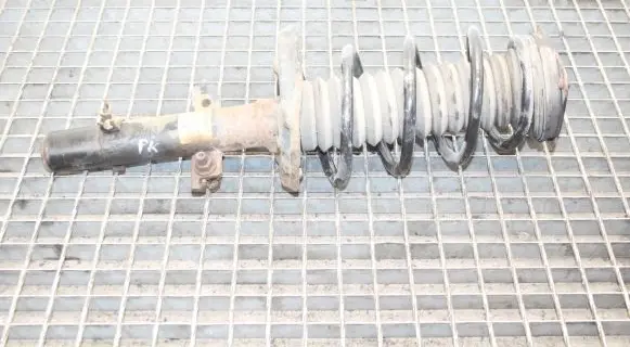 Nissan Qashqai Front shock absorber/damper 543034EA3A