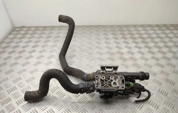 Thermostat/thermostat housing