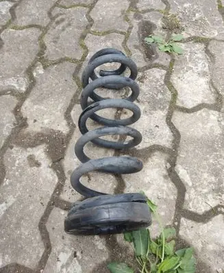Rear coil spring