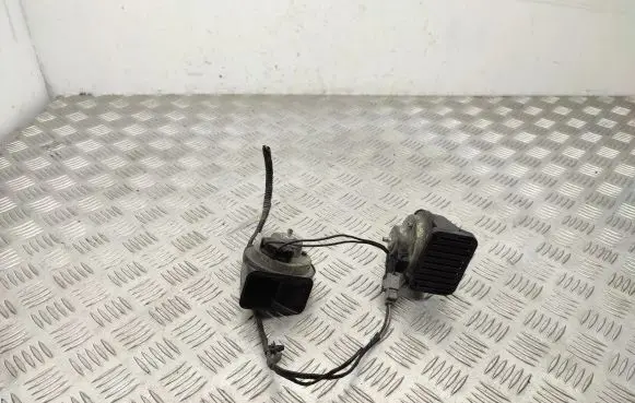 Horn signal