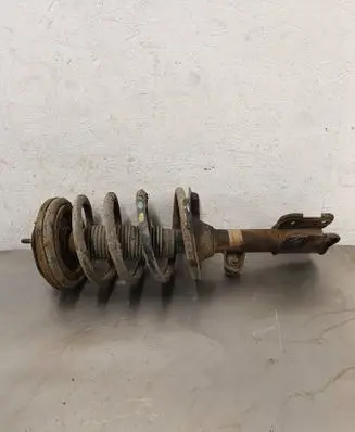 Hyundai Santa Fe Front shock absorber with coil spring