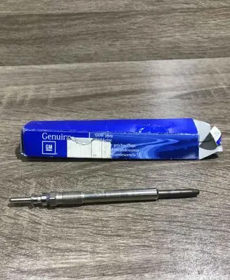 Opel Astra G Glow plug 0250202043