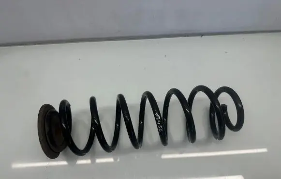 Volkswagen Golf VI Rear coil spring 294C7