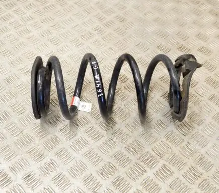 Tesla Model 3 Rear coil spring 104447201E