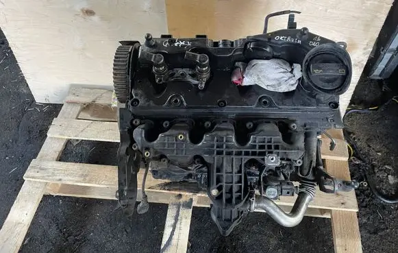 Skoda Octavia Mk2 (1Z) Engine